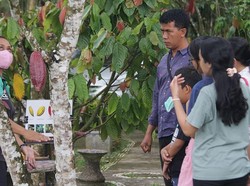 Menjelajah Desa Cokelat Bali, Pengunjung Bisa Racik-Hasil Dibawa Pulang