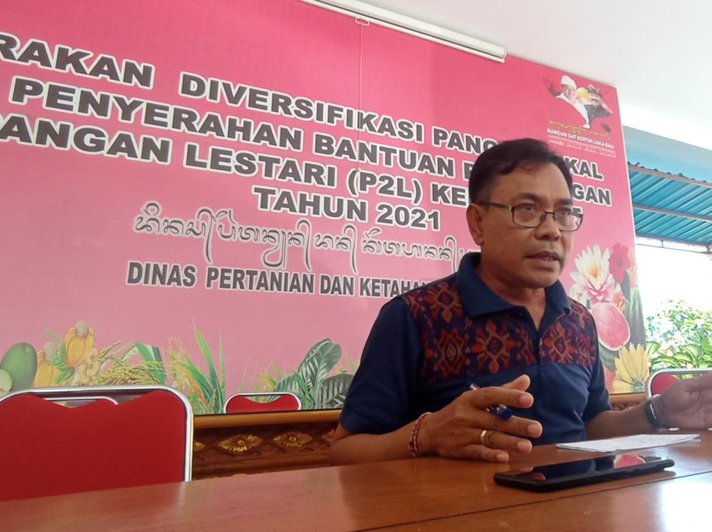 Ternak di Bali Bakal Divaksinasi Imbas Wabah PMK, Daerah Ini Prioritas