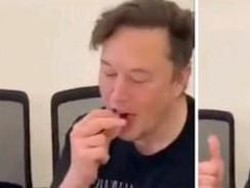 Elon Musk dan Produk Indonesia yang Bikin Geger