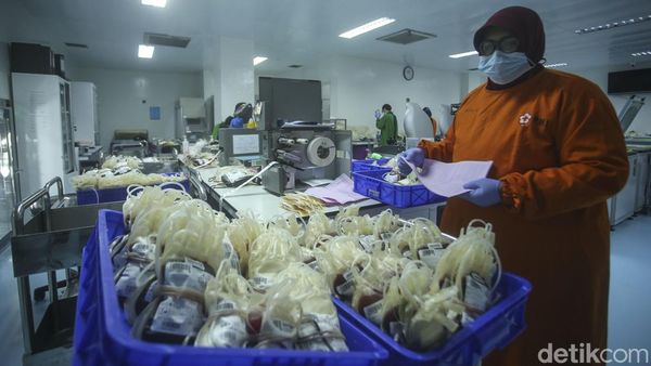 Intip Sibuknya Lab Darah di PMI DKI Jakarta