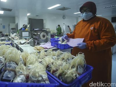 Intip Sibuknya Lab Darah di PMI DKI Jakarta