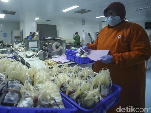 Intip Sibuknya Lab Darah di PMI DKI Jakarta