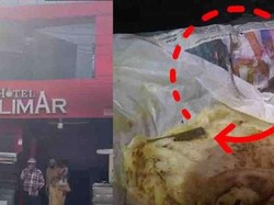 Jijik! Tamu Ini Temukan Kulit Ular di Kemasan Roti Buatan Hotel