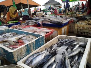 Buntut Video Viral di Pasar Kedonganan, Begini Langkah Diskop Badung Buntut Video Viral di Pasar Kedonganan, Begini Langkah Diskop Badung