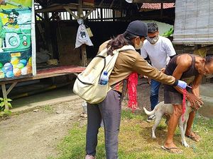 Pecah Rekor, Semua Kecamatan di Jembrana Masuk Zona Merah Rabies