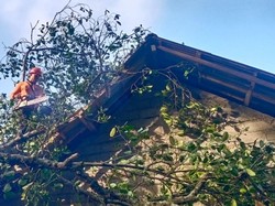 Tertimpa Pohon Nangka, Atap Rumah Warga Abang Karangasem Hancur