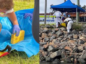 Polisi Australia Selidiki Hubungan Penemuan Kokain di Indonesia dan Australia