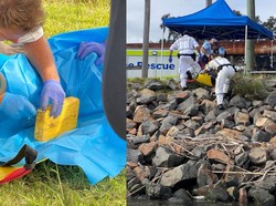 Polisi Australia Selidiki Hubungan Penemuan Kokain di Indonesia dan Australia