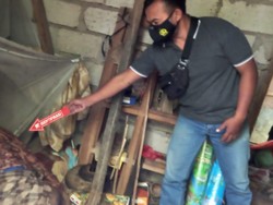 Diduga Sakit Lambung, Pria di Kupang Ditemukan Meninggal-Membusuk