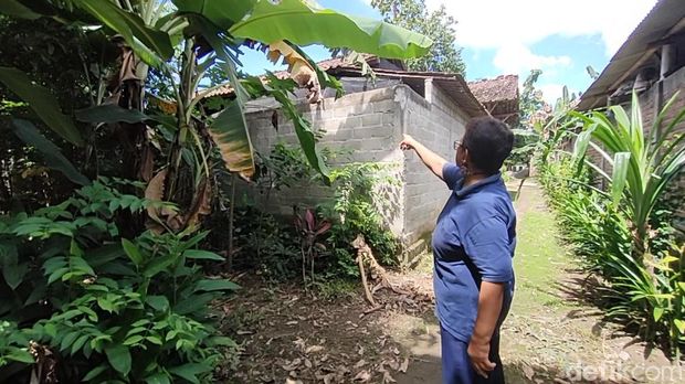 polusi kandang ayam polusi kandang ayam