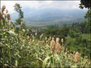 Memikirkan Kembali Energi Terbarukan