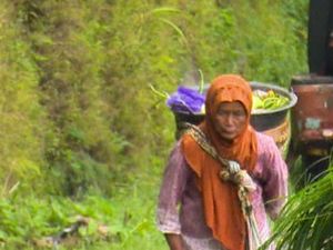 Mari Bantu Mbah Pasiah, Lansia Penjual Sayur Demi Nafkahi Keluarga