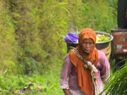 Mari Bantu Mbah Pasiah, Lansia Penjual Sayur Demi Nafkahi Keluarga