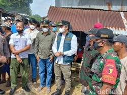 Dua Sapi di Bangkalan Terindikasi Wabah PMK