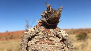 15 Hewan Unik yang Mirip Titisan Alien