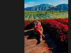 Menjelajah Objek Wisata Kedai Sawah Ngehits di Sembalun NTB