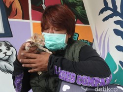 Kisah Bu Menon, Driver Ojol dan Penyelamat Kucing di Bandung