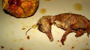 Meski Tampilannya Bikin Mual, Telur Isi Embrio Bebek Ini Tetap Digemari Banyak Orang