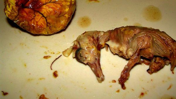 Meski Tampilannya Bikin Mual, Telur Isi Embrio Bebek Ini Tetap Digemari Banyak Orang