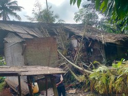 Rumah Warga Ciamis Hancur Tertimpa Pohon Tumbang