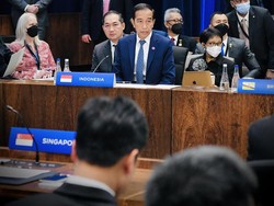 Jokowi: Hentikan Perang Sekarang Juga!