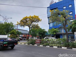 Waspada Cuaca Ekstrem di Jatim hingga 3 Hari ke Depan