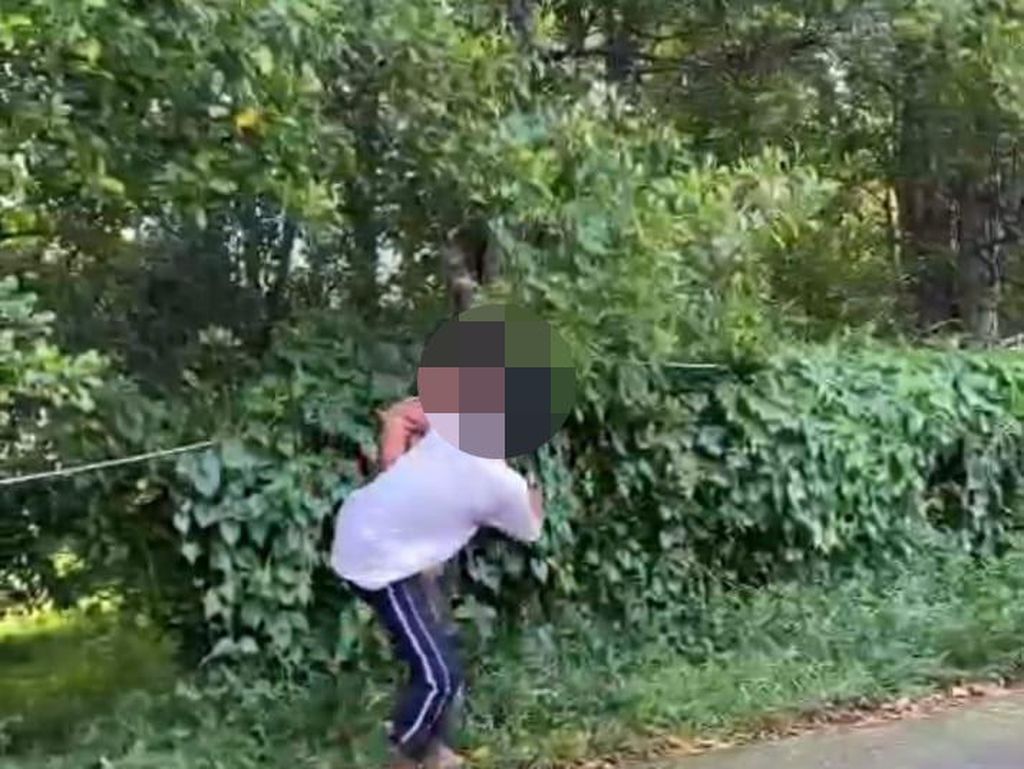 Viral 2 Remaja Adu Jotos di Jalan Gegara Cewek Viral di Buleleng Viral 2 Remaja Adu Jotos di Jalan Gegara Cewek Viral di Buleleng