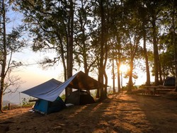 Bunuh Orang Tua yang Berkemah, Pilot Australia Dihukum Maksimal