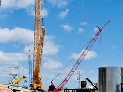 Elon Musk Siap Penuhi Undangan Jokowi, Kunjungi Indonesia Bulan November