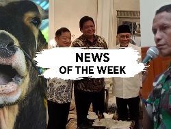 News Of The Week: 3 Partai Bikin Koalisi, Teror Wabah PMK Hewan