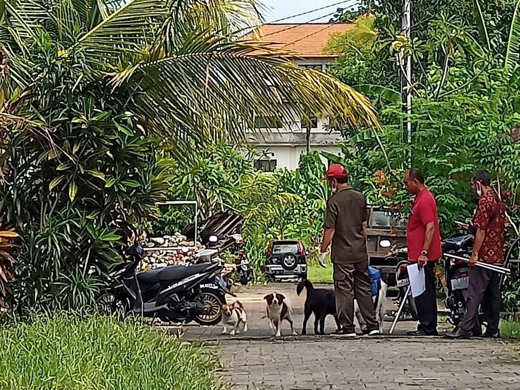 Klir! 7 Korban Gigitan Anjing Rabies di Tabanan Sudah Dapat VAR