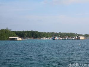 Cerita Warga Pulau Nyamuk Jepara Baru Nikmati Internet Tahun 2021 Cerita Warga Pulau Nyamuk Jepara Baru Nikmati Internet Tahun 2021