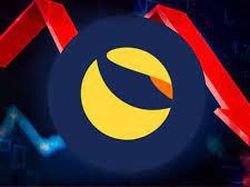 Kisah Horor Kehilangan Semua Uang Gegara Beli Kripto Luna