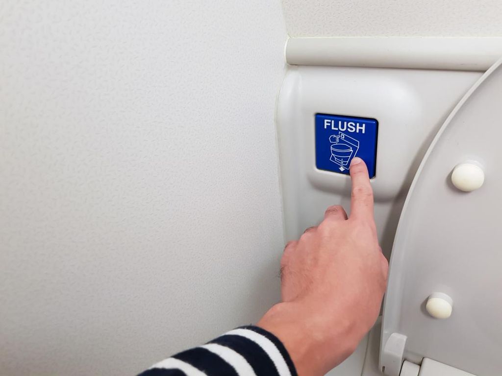 Hiii... Pikir-pikir Lagi Sentuh Flush Toilet Pesawat Secara Langsung