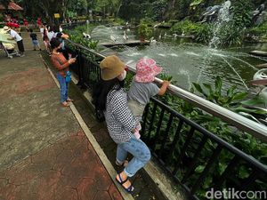 95 Ribu Pengunjung Datangi Ragunan Selama Long Weekend Libur Waisak