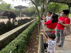 Catat Ya! Kebun Binatang Ragunan Tutup Hari Pertama Lebaran, Buka Lagi 23 April