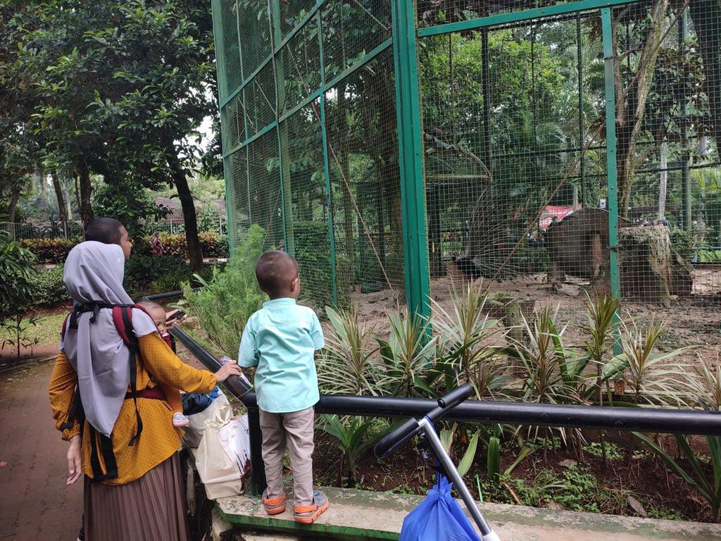 Ada 17 Ribu Pengunjung Kebun Binatang Ragunan Siang Ini