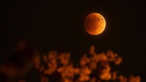 Terpesona Penampakan Gerhana Bulan Total di Langit Dunia
