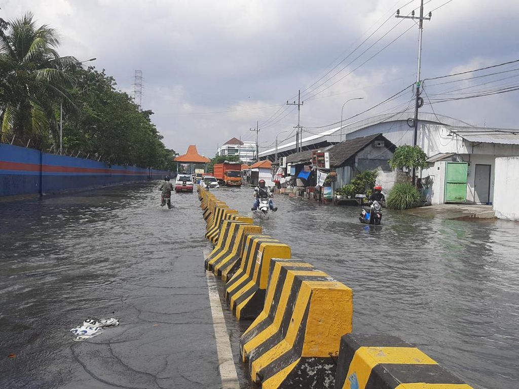 Banjir Rob di Kalimas Baru Picu Aktivitas Bongkar Muat-Transportasi Terganggu