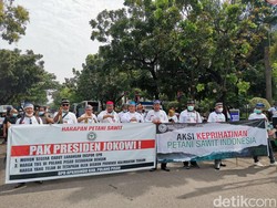 Petani Sawit Menjerit Merugi Belasan Triliun Gegara Larangan Ekspor CPO