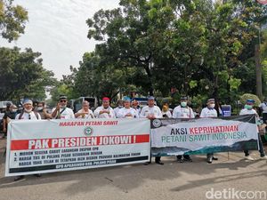 Petani Sawit Menjerit Merugi Belasan Triliun Gegara Larangan Ekspor CPO Petani Sawit Menjerit Merugi Belasan Triliun Gegara Larangan Ekspor CPO