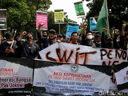 Demo soal CPO, Mahasiswa: Naikkan Harga Sawit Supaya SPP-ku Terbayar