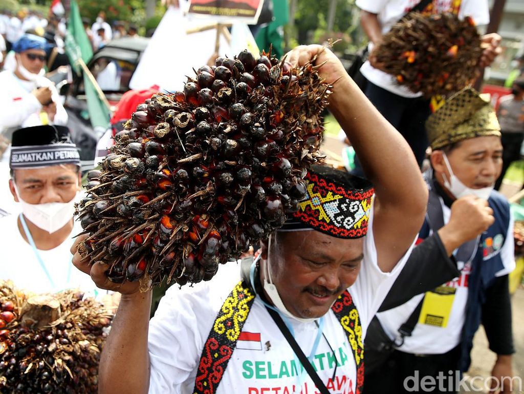 Perwakilan KSP Datangi Massa Petani Sawit, Ajak Perwakilan Dialog Perwakilan KSP Datangi Massa Petani Sawit, Ajak Perwakilan Dialog