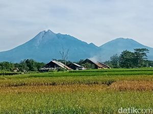 Duh! Calon Siswa SMP dari Desa di Pucuk Merapi Terlempar dari Zonasi Duh! Calon Siswa SMP dari Desa di Pucuk Merapi Terlempar dari Zonasi