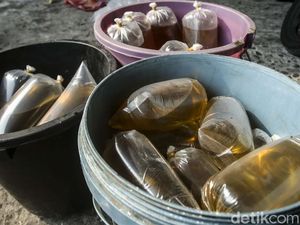 Pemerintah Akan Terbitkan Lagi Aturan DMO dan DPO Minyak Goreng Pemerintah Akan Terbitkan Lagi Aturan DMO dan DPO Minyak Goreng