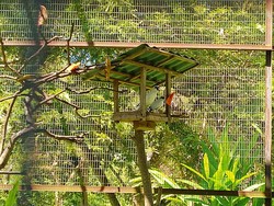 Menjelajah Taman Wisata Bali Barat Sambil Nikmati Pesona Satwa Endemik