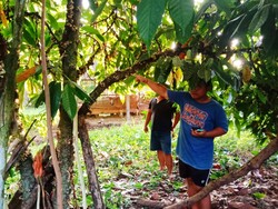 Miris! Diduga Terbelit Hutang, IRT di Jembrana Nekat Bunuh Diri