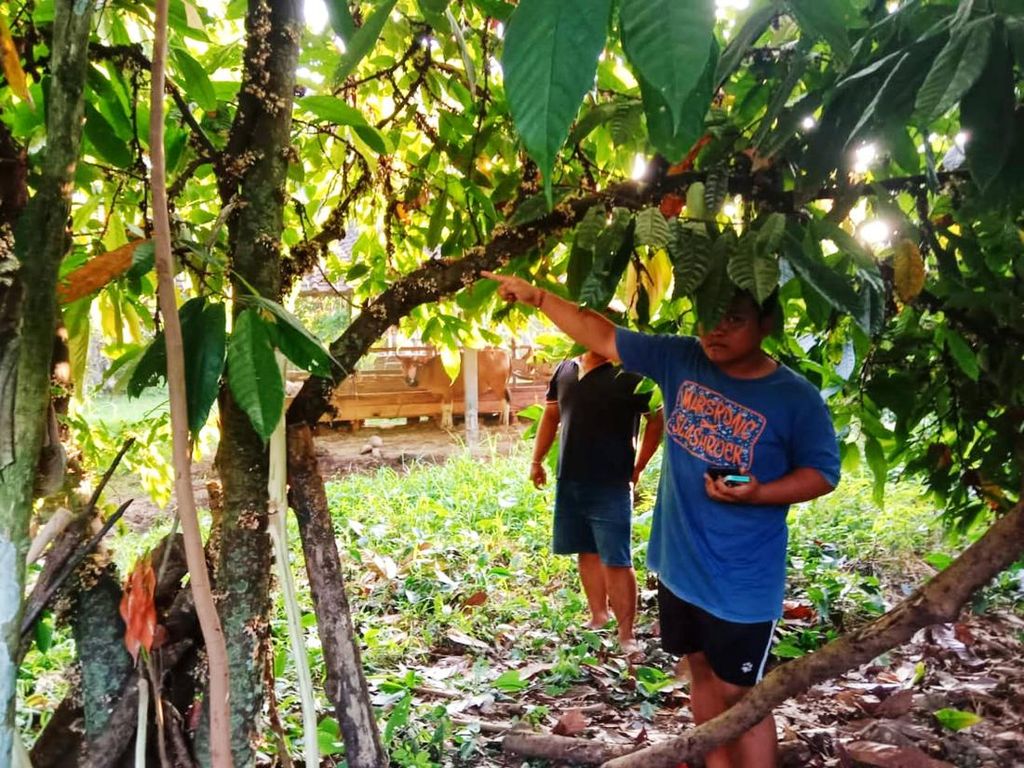 Miris! Diduga Terbelit Hutang, IRT di Jembrana Nekat Bunuh Diri Miris! Diduga Terbelit Hutang, IRT di Jembrana Nekat Bunuh Diri