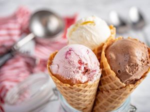 Kafe Gelato Pet Friendly yang Estetik di Kemang Jaksel Kafe Gelato Pet Friendly yang Estetik di Kemang Jaksel