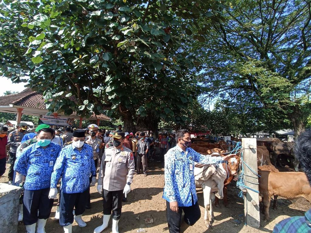 Wali Kota Blitar Sidak Hewan Ternak di Pasar Hewan Dimoro, Hasilnya?